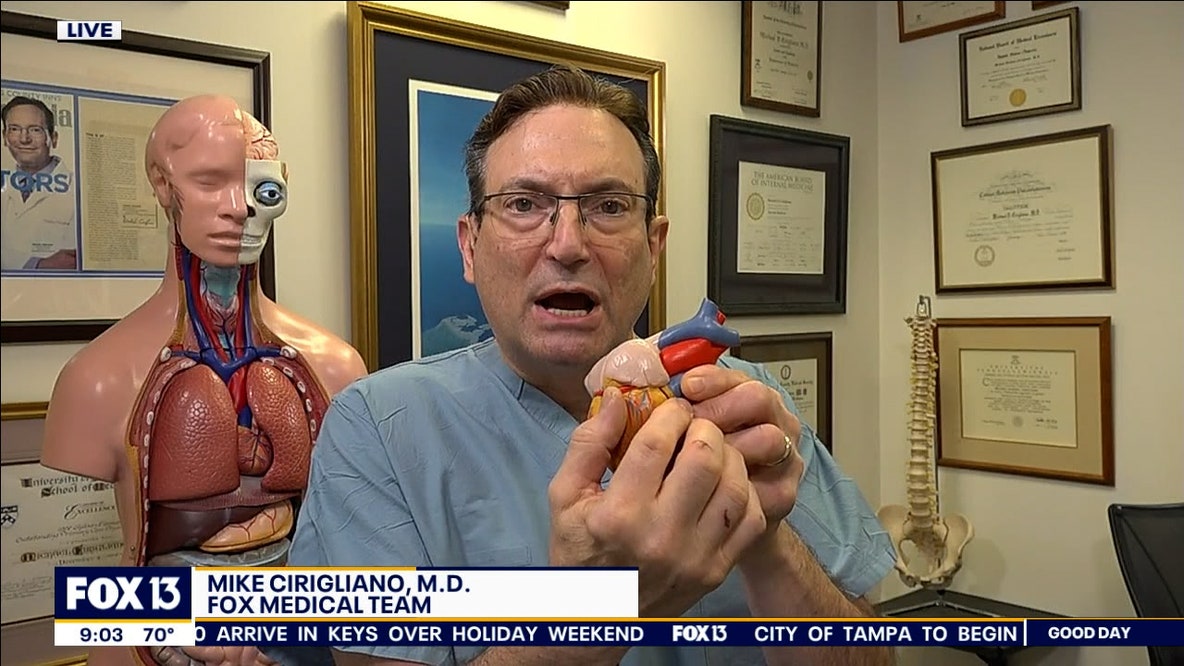 Buffalo Bills' player collapse on field: Doctor gives insight on possible causes